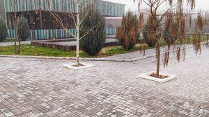Тротуарна плитка Старе місто